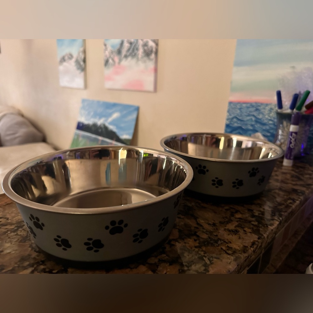 Grey dog bowls (2) with paw prints